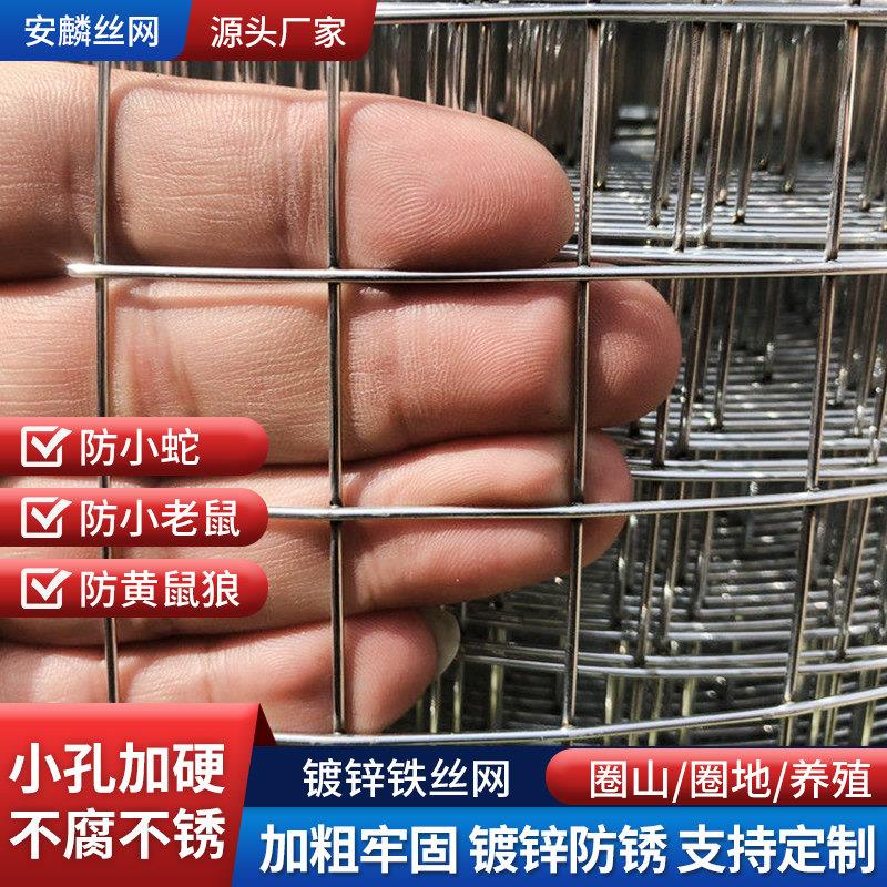 镀锌钢丝网围栏网鸡鸭兔鹅鸟笼养殖网护鼠蛇VUO防网钢丝栏网养围