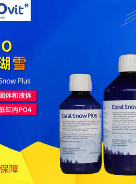 直接粮珊瑚液体洋pohlzeosnow’ corals吸收雪滋养 珊瑚雪海珊瑚