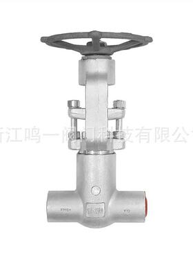 锻造不锈钢F316H全通径全流量2500LB压力自密封承插对焊闸阀PZ61Y