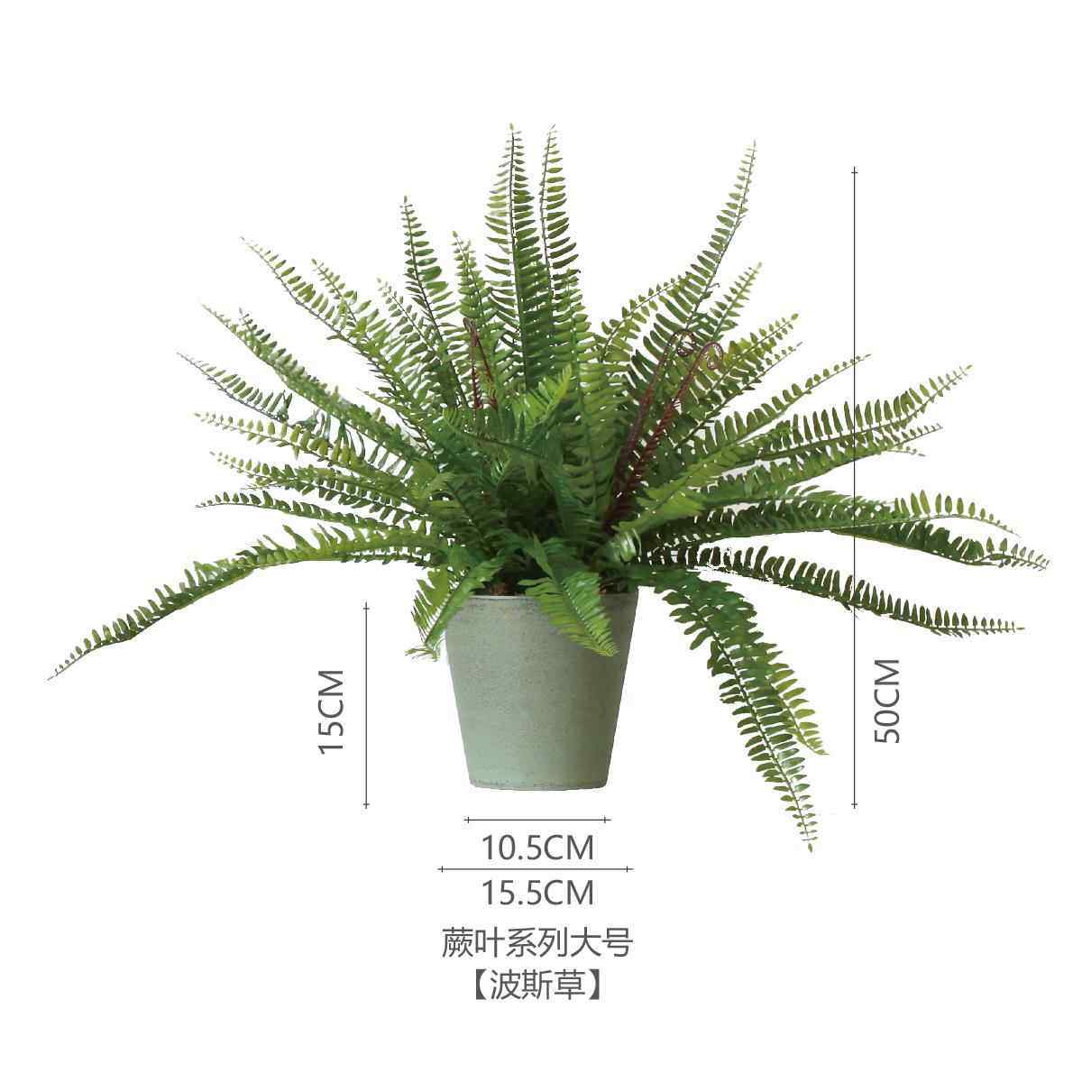 高档西里仿柜真物蕨草 植基础款桌面绿植家西居书隔板餐厅办公室