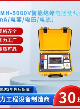 电力ZSDMH-5000V智能绝缘电阻测试仪（6mA/电容/电压/电流）