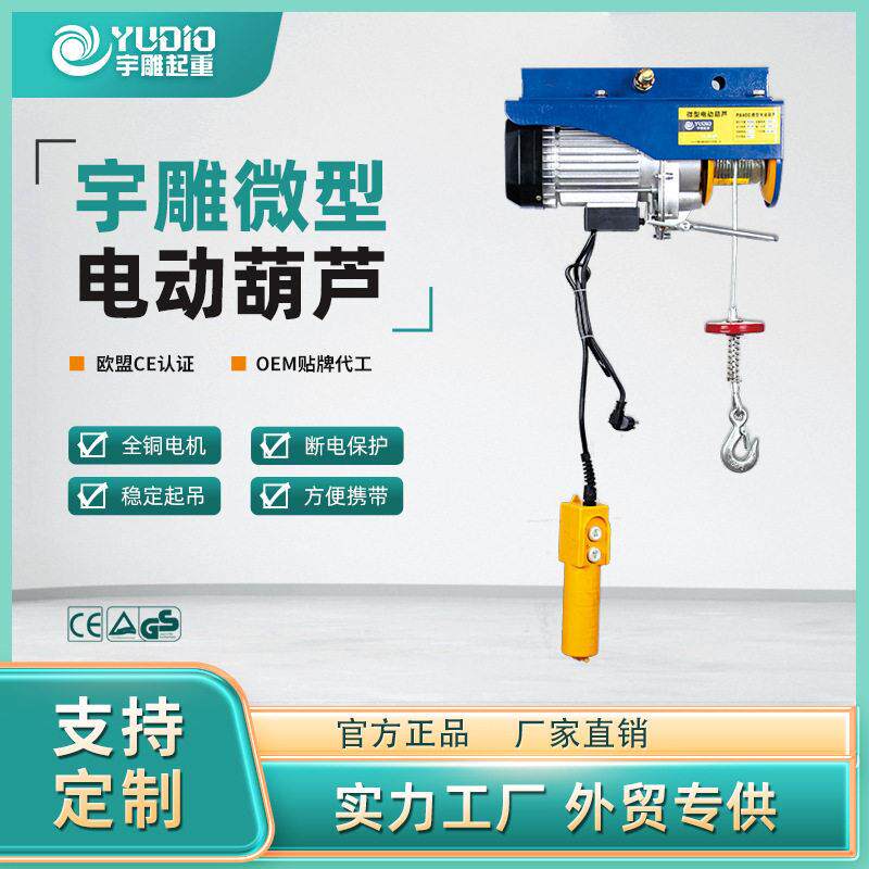 宇雕微型电动葫芦小吊运机220V家用吊装修上料小型提升机电动葫芦