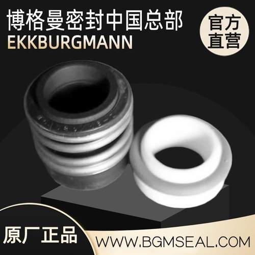 NP250/400-110/4德国威乐Wilo水泵机械密封轴水封MHIL202/MHI803