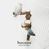 鹦鹉花椒木跳台站杆树枝站杆鹦鹉磨牙棒实木站架鹦鹉鸟站台