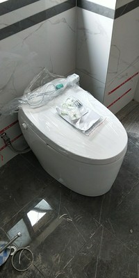 小白请教恒洁智能马桶QE8怎么样？20天后感受分享！！