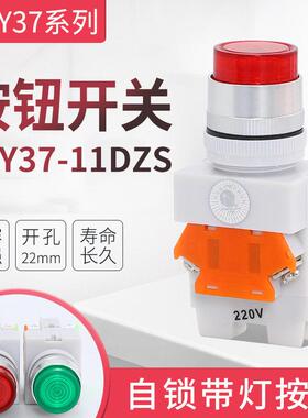 LAY37-11DN LAY37-11DNZS Y090带灯按钮自锁 自复位按钮开关
