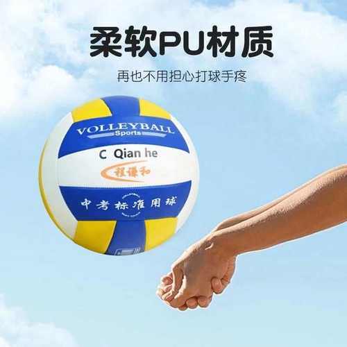 排球软式5号中考专用训练比赛充气小学生儿童初学硬式软排工厂