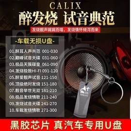 汽车载U盘32G发烧试机典范人声情歌HIFI试音胆机 无损高音质优盘