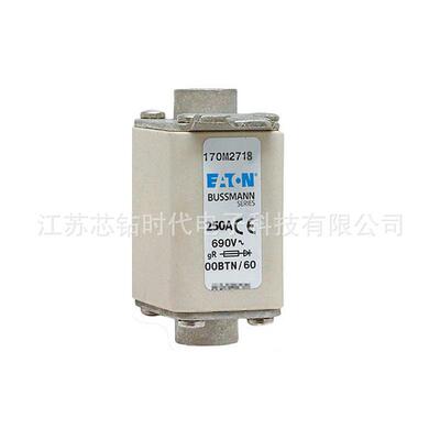 170M2717 170M2718 170M2719 巴斯曼BUSSMANN熔断器保险丝