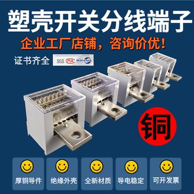 FJ6分线端子接线盒一进多出接线端子空气开关延长线铜电线分理线