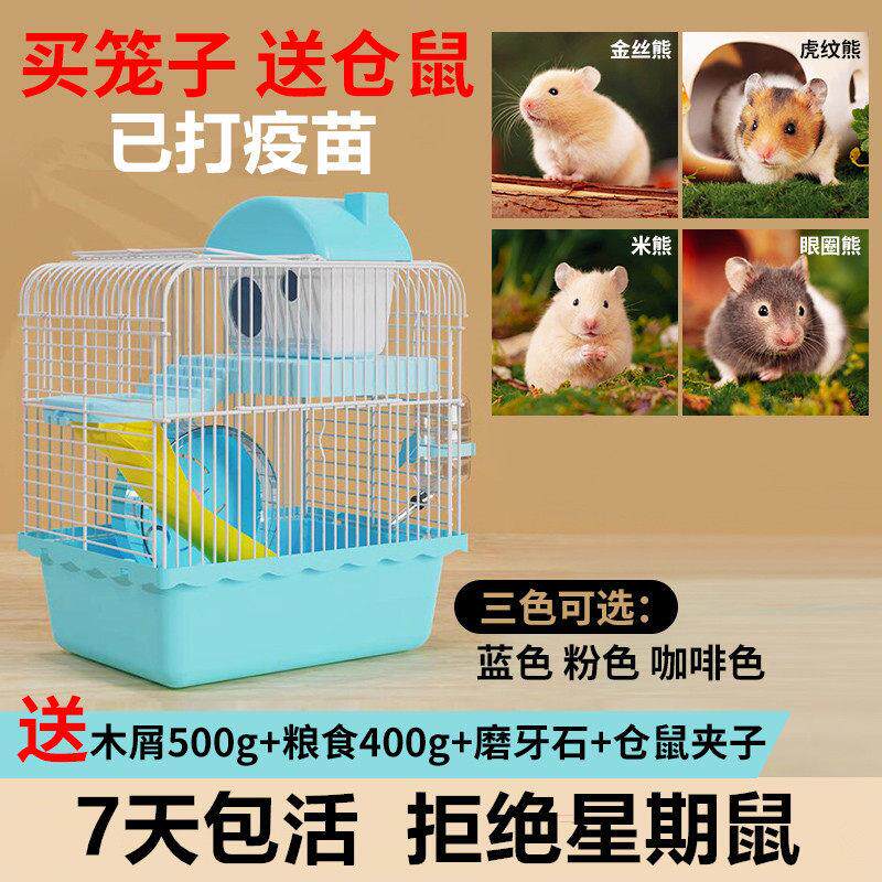 小仓鼠活物送笼子仓鼠活宠买 笼子送一祇仓鼠活体带笼子金丝熊宠