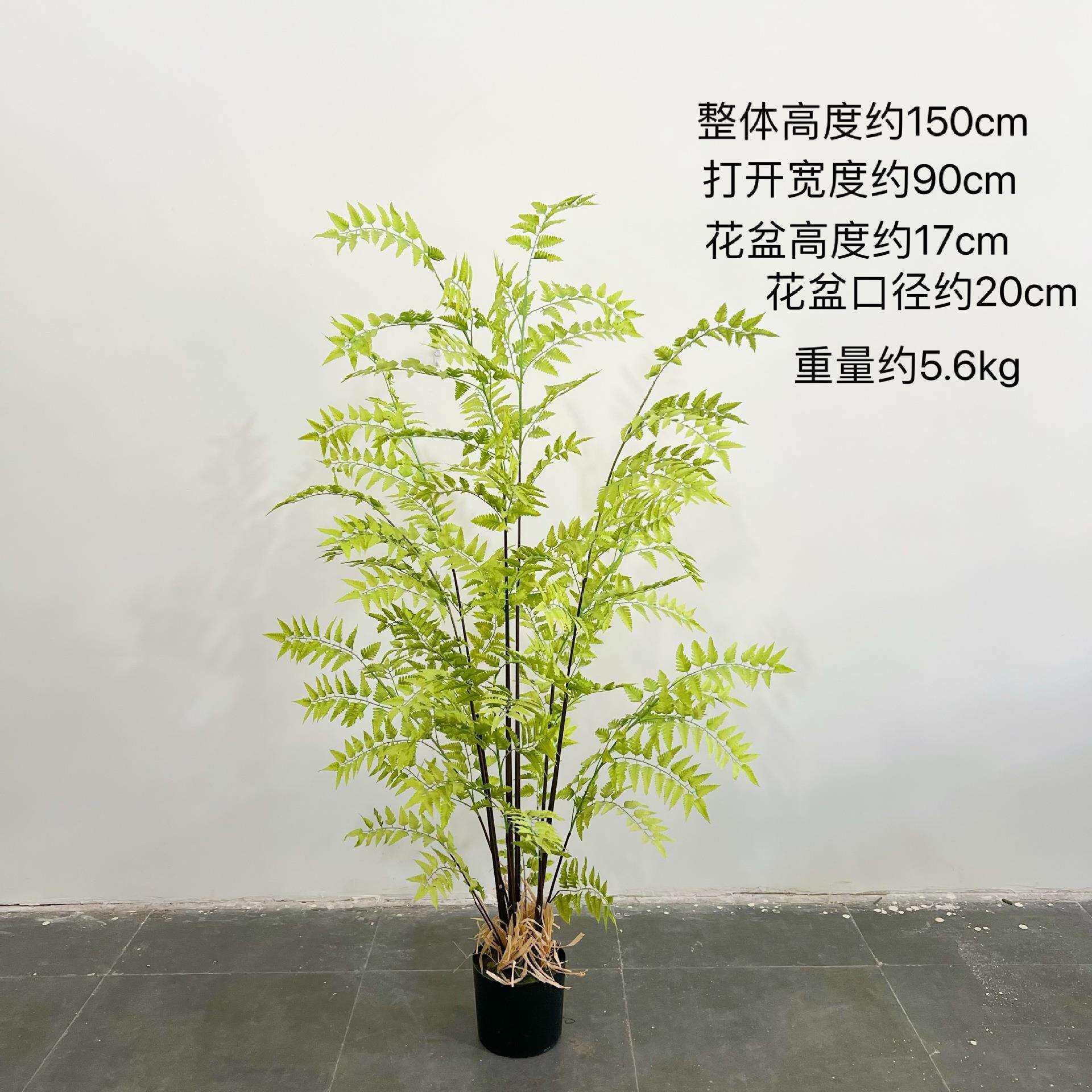 绿植羊齿蕨落地盆栽室内大型仿真植物摆件客厅蕨类植物工程造景