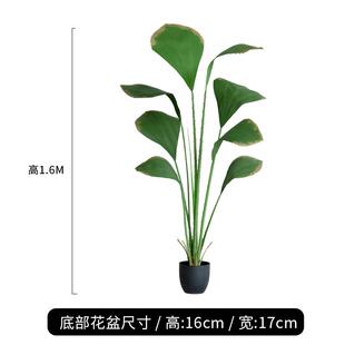 秋色植仿真棕树苏门答腊装饰绿客厅假植盆栽落地大型北欧物室内