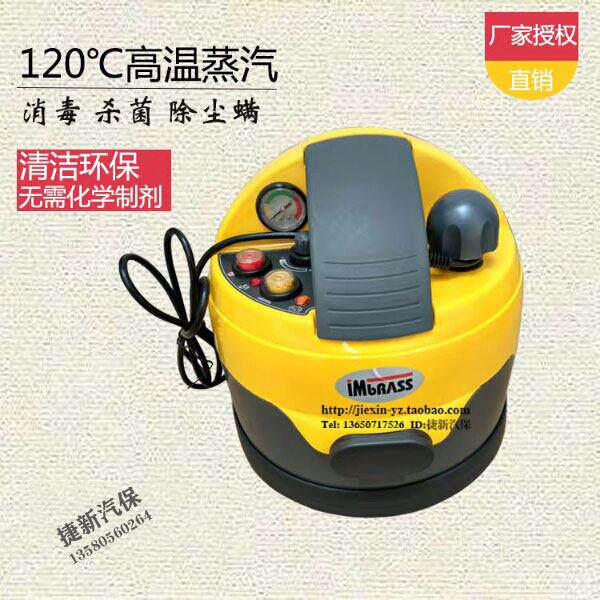 茵百芝汽车美容高温高压雾化桑拿消毒杀菌蒸汽洗车清洗机家商用