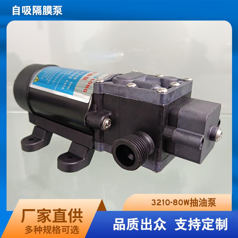 厂家供应小型抽油泵家用汽车汽油12V80W抽柴油泵单泵电动隔膜泵