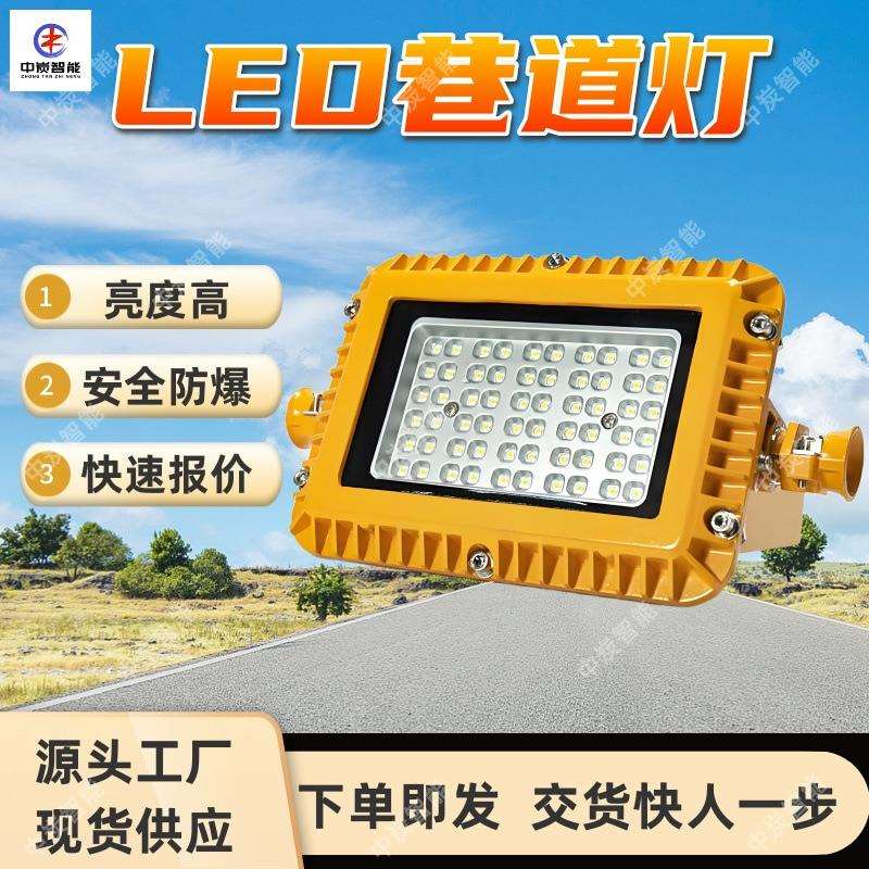 矿用隔爆型LED巷道灯 耗电小 DGS15/127L(A)矿用隔爆型LED巷道灯