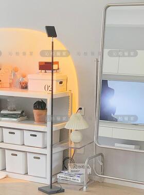 红不锈钢拉丝镜衣可移动带轮全身镜家落地穿网衣用镜服装TSX店试