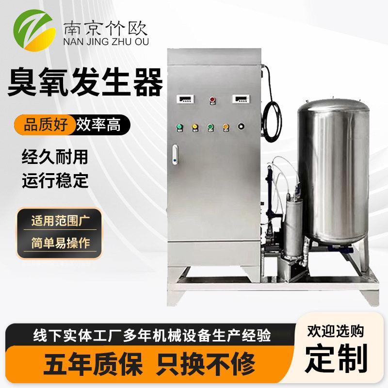 小型可移动式臭氧发生器空气源氧气源臭氧机水处理工业臭氧设备