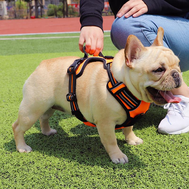 清仓处理 Truelove胸背中型犬反光胸背带宠物胸背法斗柯基雪纳瑞