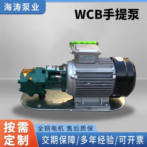 厂家供应便携式齿轮泵柴油机油润滑油倒桶电动自吸泵WCB手提泵