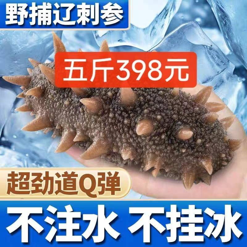 大连产地直发正宗大连即食海参开袋即吃500g鲜活辽宁刺参