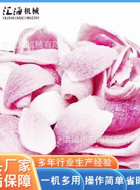 供应小酥鱼油炸机设备 全自动果蔬真空油炸机 不锈钢洋葱脆油炸机