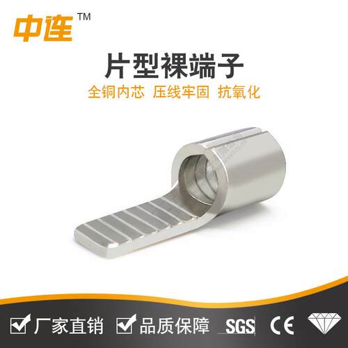 DBN片型裸接线端子 紫铜片形预绝缘铜端头1.25/2/5.5-10插片插针