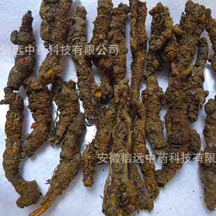 徽信远工厂选装单支黄连鸡爪黄连黄连片各种规格