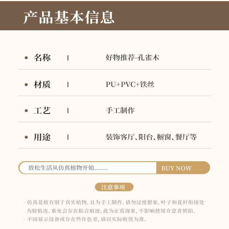 植物客厅风室内孔雀植落地诧木摆件装饰沙发绿电视柜盆栽旁寂仿真