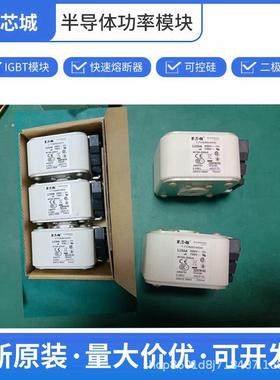 170M6466高压户外熔断器170M3815D保险丝170M3812D巴斯曼数量