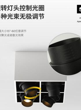 智能明装筒射灯可调角度客厅家用单个双头三头四头六头LED斗胆灯