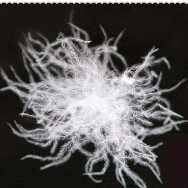 厂家直销粉碎手感羽毛羽绒丝 高蓬松水洗羽绒鹅绒丝批发无异味,节庆用品/礼品,毛条,淘宝优惠券,粉丝福利购,淘宝优惠卷