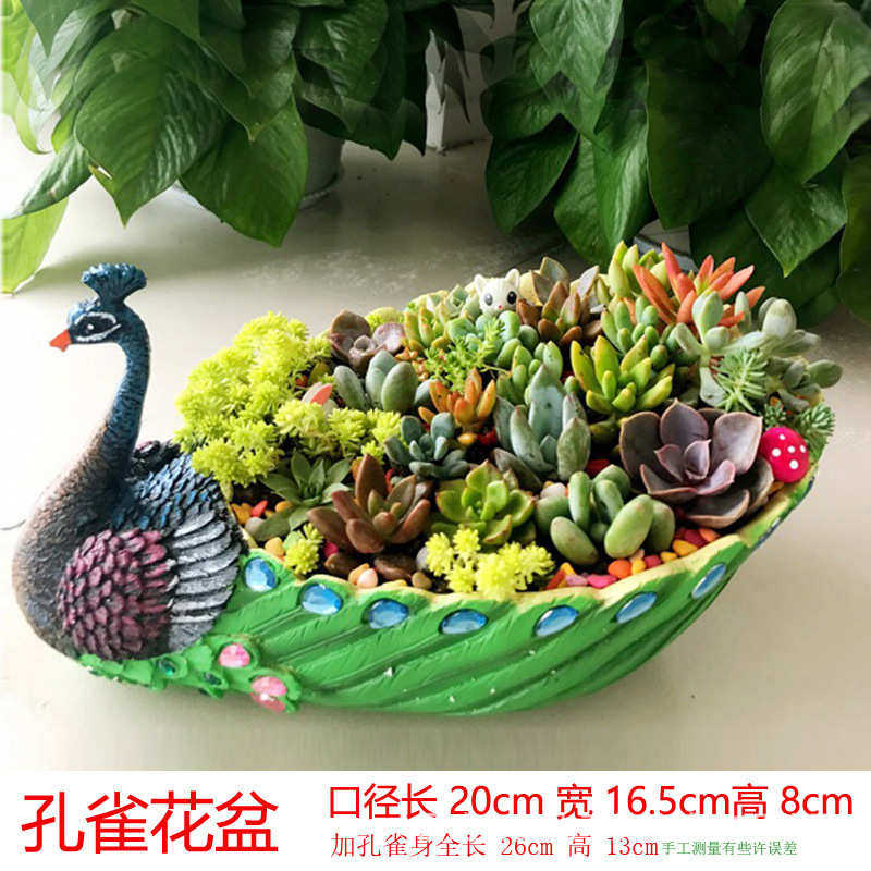 蓝孔雀花盆盆栽欧式多肉花盆大号口径拼盘树脂创意多肉植物花盆栽,鲜花速递/花卉仿真/绿植园艺,花盆,淘宝优惠券,粉丝福利购,淘宝优惠卷