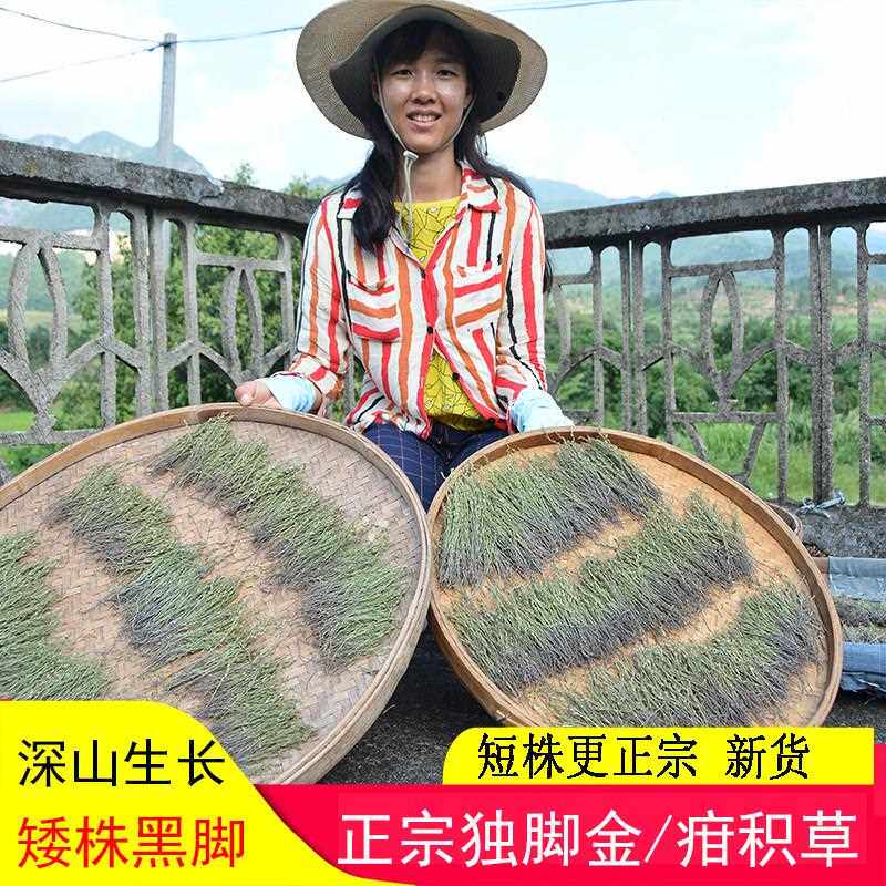 独脚金疳积草小孩开胃不吃饭厌食广东煲汤料炖汤料干草矮脚子