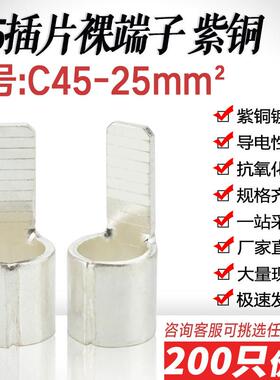 C45-25平方片形铜端子 冷压DZ47空开插片插针 线耳铜线鼻紫铜焊口
