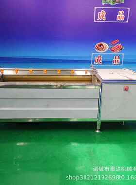 大蒜毛29120棍清备洗机胡桃碧果清洗设不锈钢刷清洗机扇根贝毛去