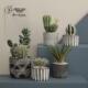 饰小盆景陶瓷人造多肉植物仙人掌盆栽客厅假花 装 斯堪 纳维亚风格