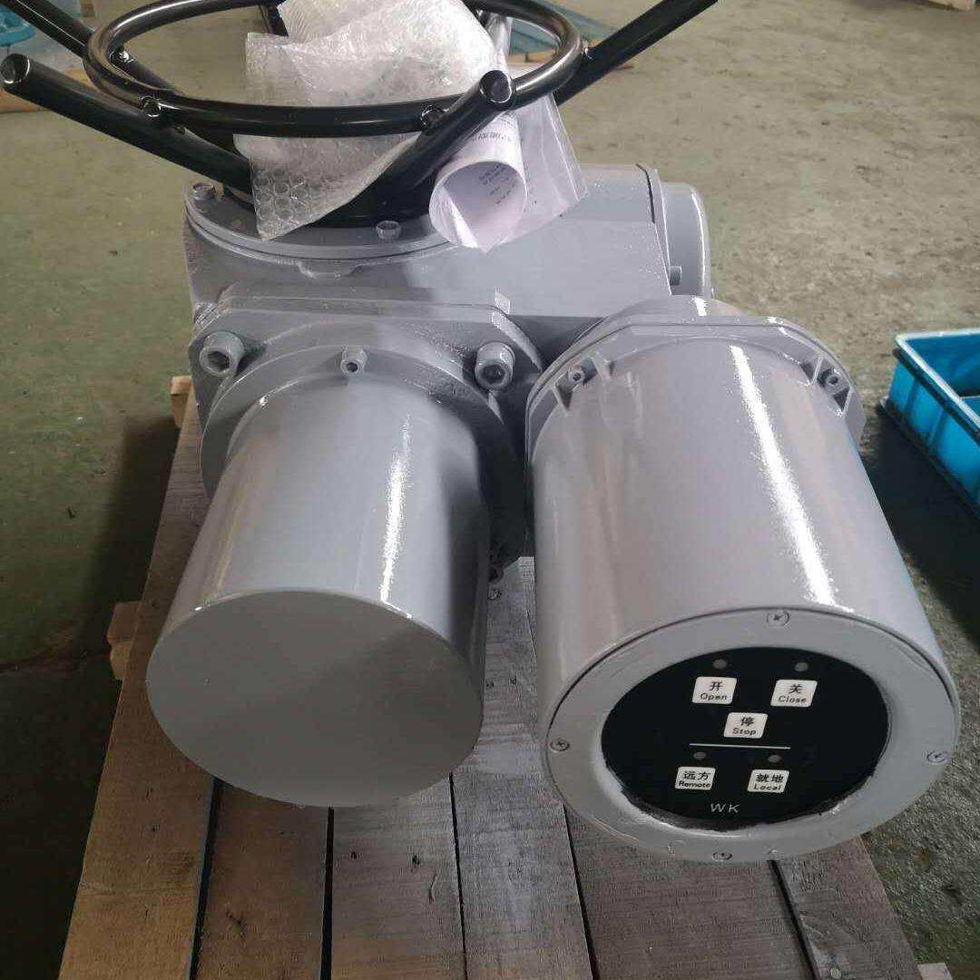DZW120-24-A00-WK阀门电动装置DZW90-24-A00-WK