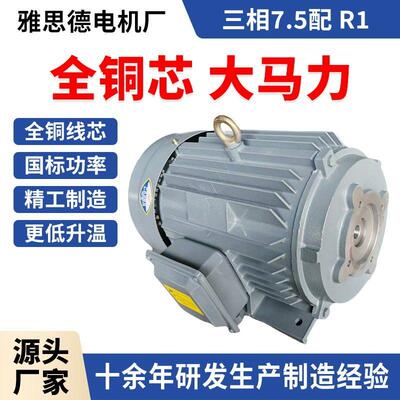 三相电动机2.2/5.5/7.5/11/15W配R1/R2叶片泵电机液压马达
