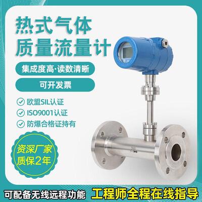 热式气体质量流量计插入式管道天然气空气氢气流量计智能