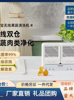 德国蓝宝果蔬清洗机家用食材净化洗菜器蔬菜去除农药洗肉水果卫士