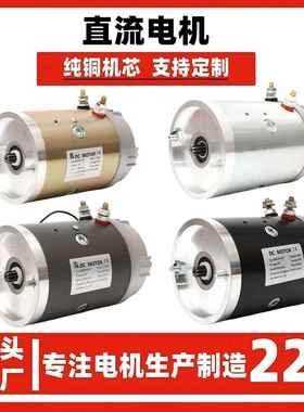 供应12v直流电机24v动力单元电机花键九齿油泵电机有刷电机