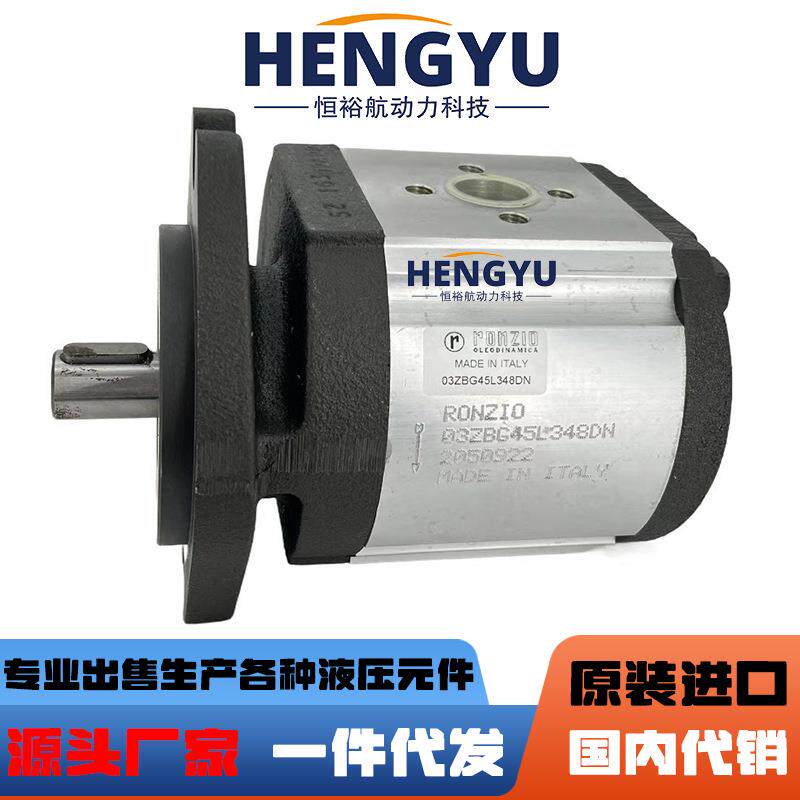 罗茨液压泵RONZIO齿轮泵03ZBG40L 03ZBG45L油泵压力高03ZAG40Q64D