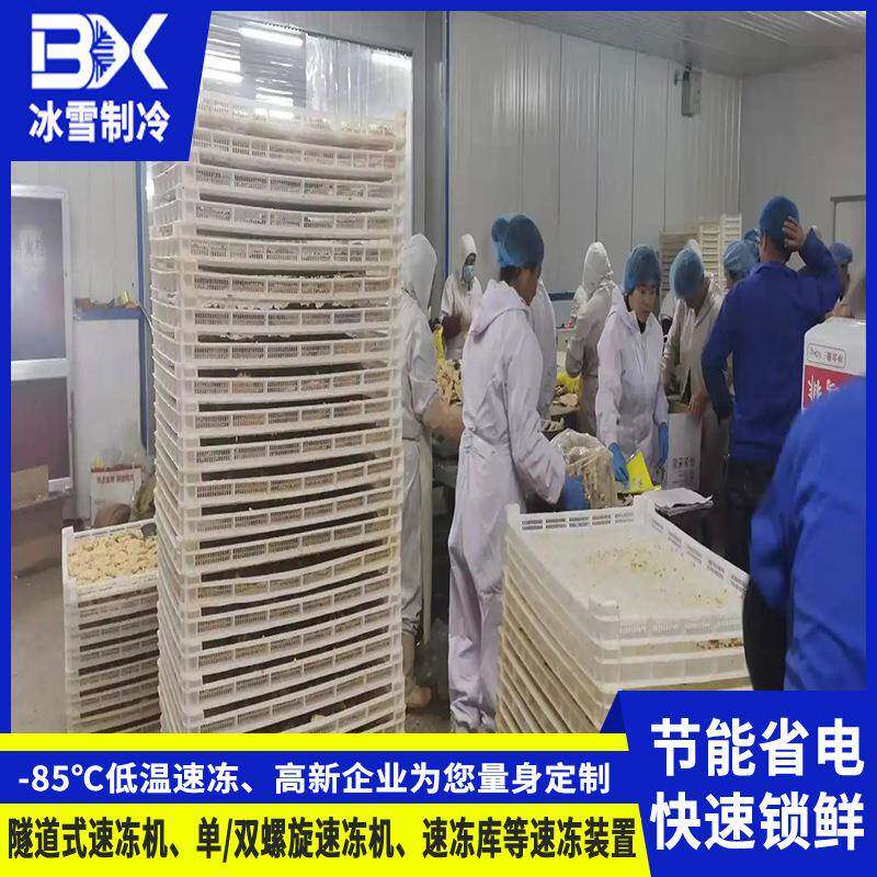 平板式隧道速冻机小龙虾章鱼海参速冻设备海鲜水产品线高效急冻
