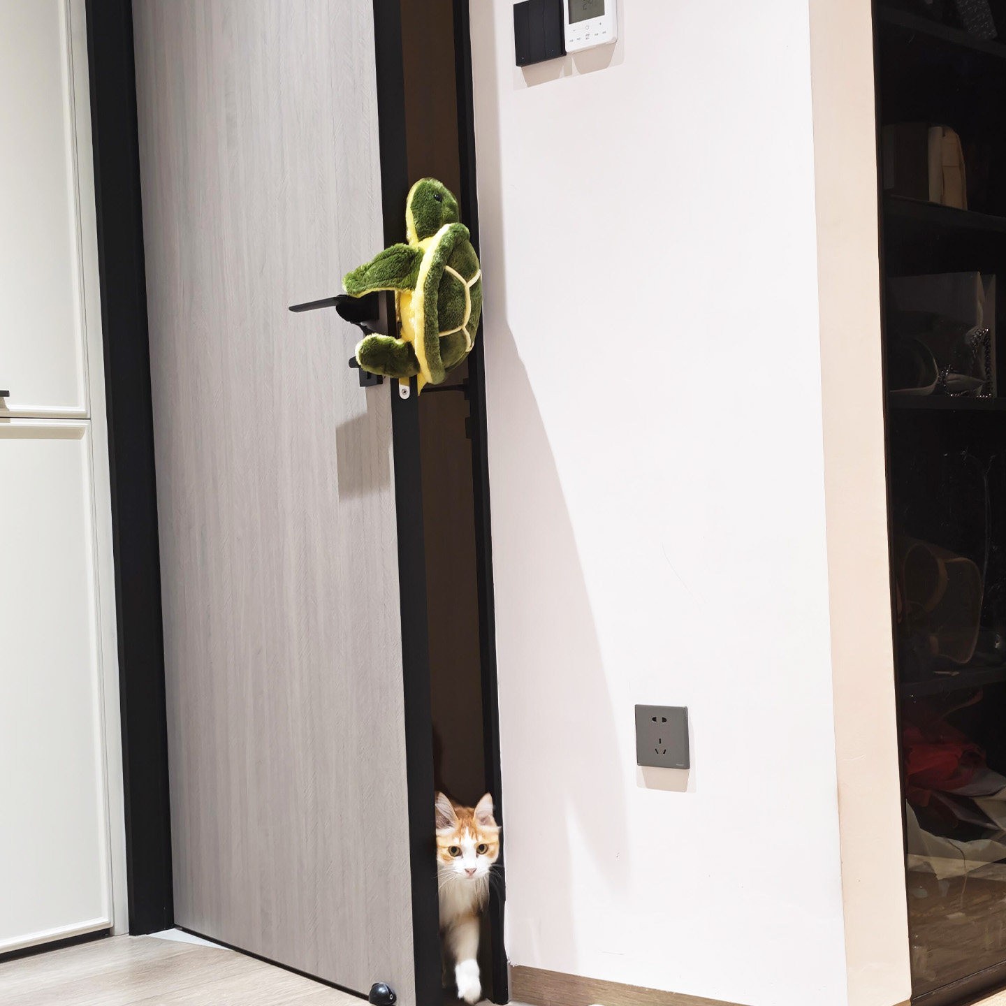 猫咪留门缝门挡搞怪可爱乌龟防撞防夹手毛绒玩偶宠物专用留门神器
