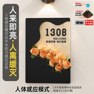 门牌号码牌高级感创意宅入住户门口装饰门牌号家自粘USI数字房号