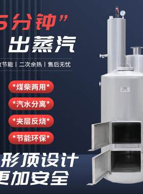 家用煤柴蒸汽锅炉夹层反烧炉无烟生物颗粒蒸汽炉酿酒设备农业养殖
