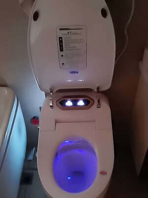 日本原野智能马桶怎么样?不敢想的评判结果让你心惊