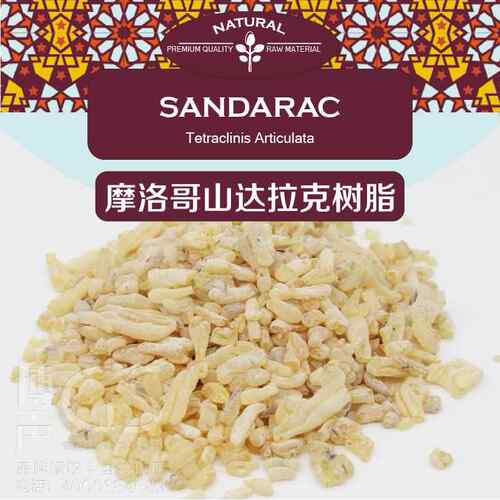 进口摩洛哥山达拉克山达胶山达脂Sandarak虫胶漆乐器漆树脂原料