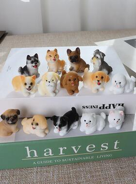 可爱迷你小狗狗摆件微景观园艺造景汽车蛋糕饰品diy玩偶配件礼物